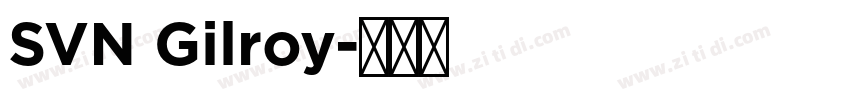 SVN Gilroy字体转换